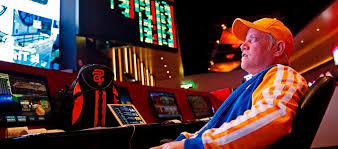Онлайн казино Kaktuz Casino